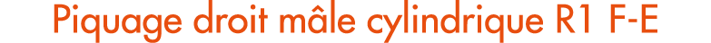 Piquage droit m le cylindrique R1 F E