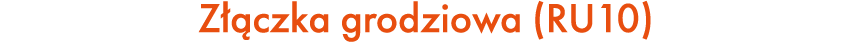 Z czka grodziowa (RU10)